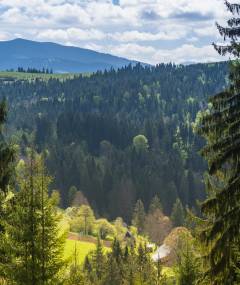 Плай котеджі