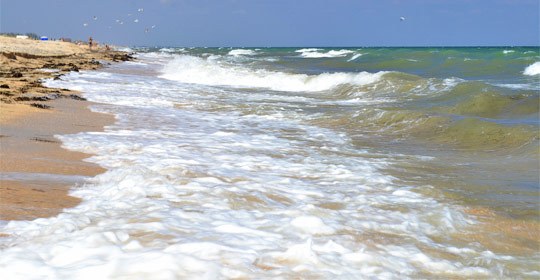 Арабатська стрілка, відео