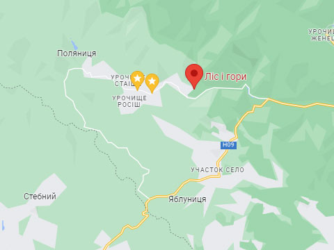 Карта Буковель приватний сектор коттедж Ліс і Гори