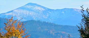 Поляниця, фото