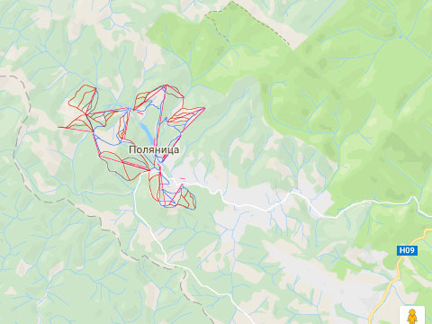 Супутникова карта Поляниці, фото