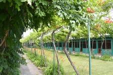 Грибівка база відпочинку Білі роси