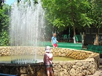 Грибівка база відпочинку Білі роси