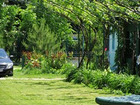 Грибівка база відпочинку Білі роси