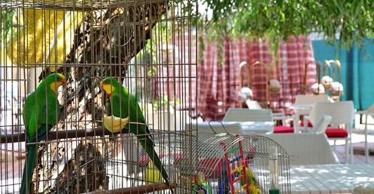 Катранка, базы отдыха, фото