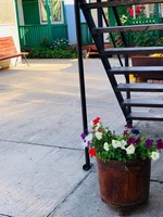 Курортне приватний сектор, Курортне приватна садиба У Аліка