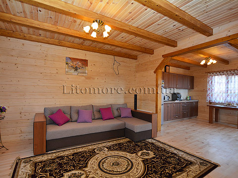 Грибовка, коттедж, фото номера