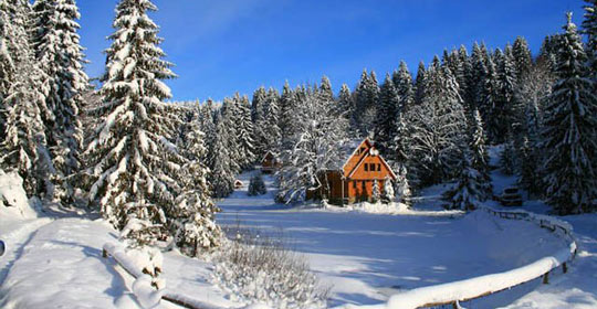 Карпаты Пилипец отель Озеро Вита, фото