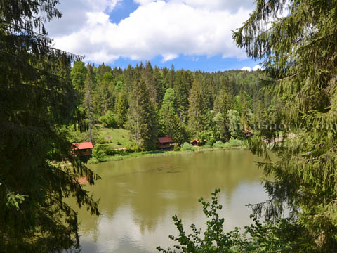 Пилипець, готель Озеро Віта, фото номера