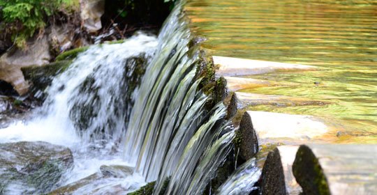 Пилипець, фото