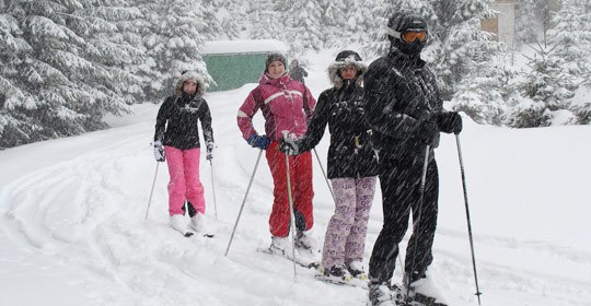 Пилипець, відео