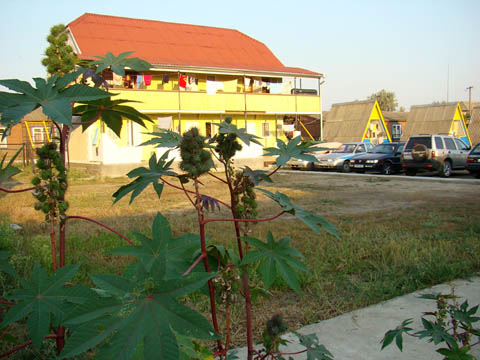 Рассейка, базе отдыха Мрия, фото номера