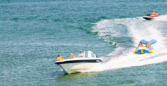 Стрілкове, фото, відео