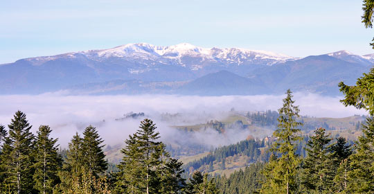 Яблуниця, відео