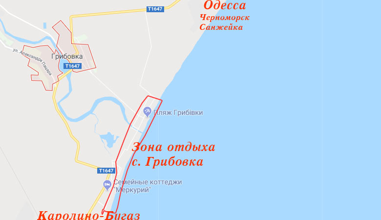 Грибовка карта, вулиці, узбережжя , готелі, бази відпочинку
