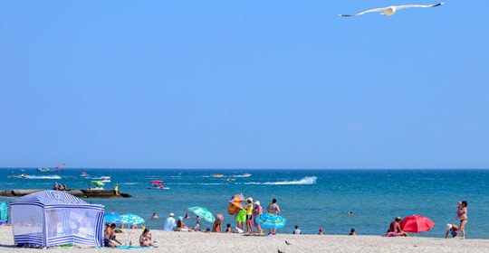 Грибівка, фото, відео