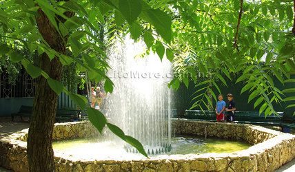 Грибівка Білі роси фото