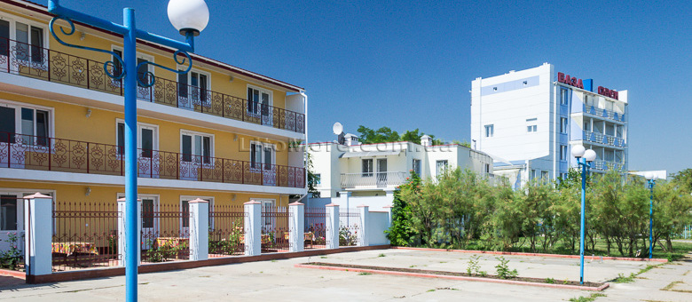 Грибівка Овен