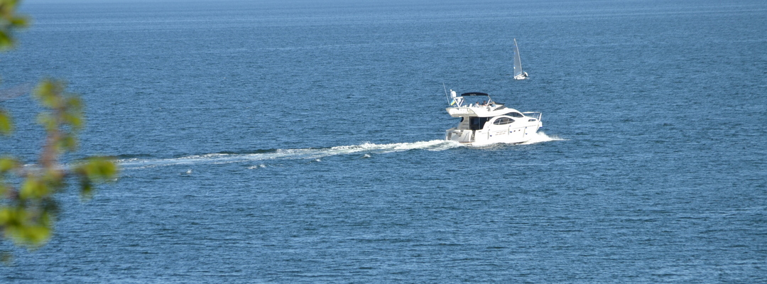 Грибівка Райський куточок