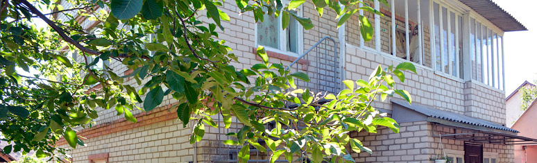 У Тамары Железный Порт частный секторфото