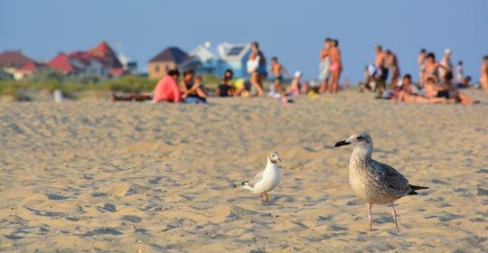 Кароліно-Бугаз, фото, курорт в Одеській області