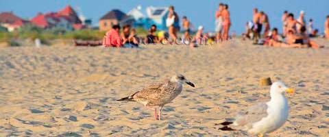 Кароліно-Бугаз, фото