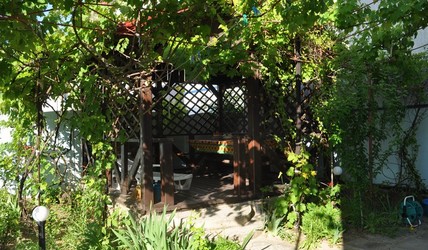 Кароліно-Бугаз Дельфін