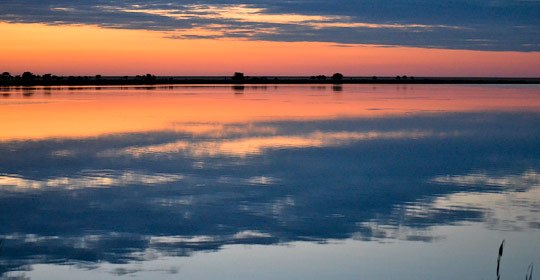 Катранка, фото, відео