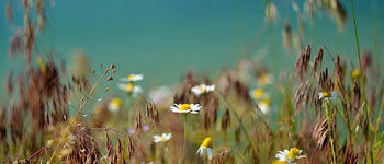 Курортное, фото курорта, пляжа, моря