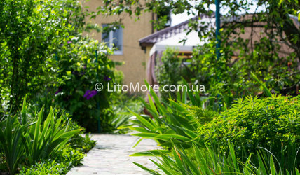 Кароліно-Бугаз Олександрівська садиба