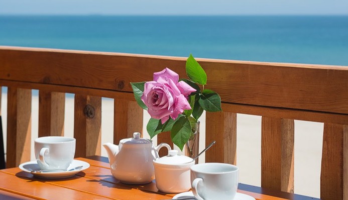 Грибовка отель Панама Сити