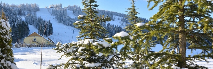 Плай Зима Літо