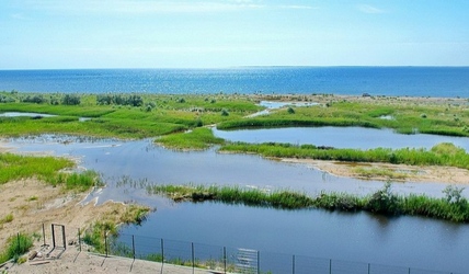 Приморське Ellada Palace готель