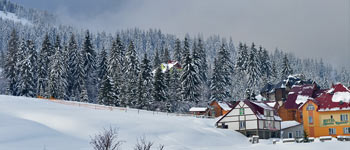 Пилипець житло