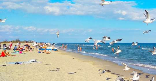 Рассейка Мрия