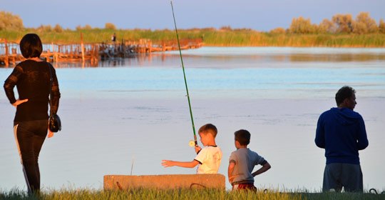 Росєйка, фото, відео