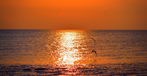 Санжійка готель Кочівник