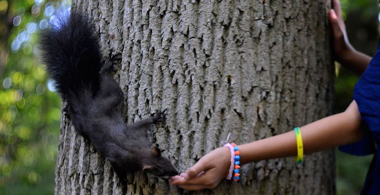 Трускавець фото