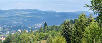 Тустань фортеця