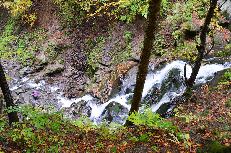Шипіт Пилипець