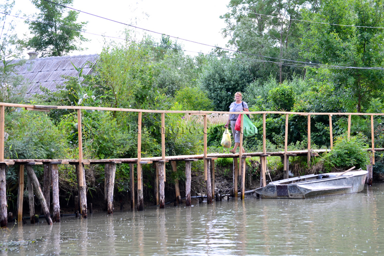 Вилкове фото