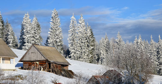 Яблуниця житло