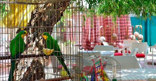 Фото курорту Затока — пляжі, готелі, розваги, інфраструктура