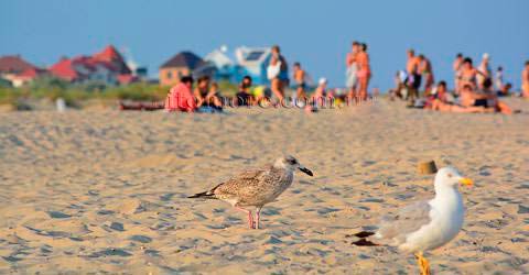Кароліно-Бугаз, фото