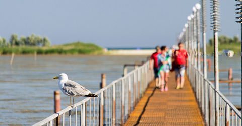 Катранка, фото, морський курорт України