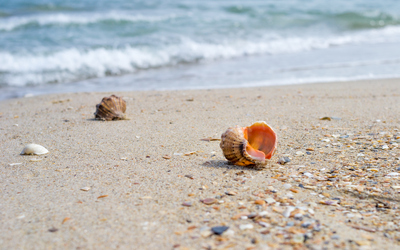 Одеса Совіньйон відпочинок на морі