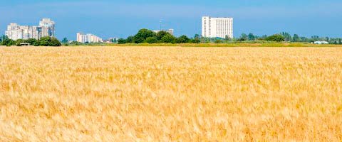 Сергіївка, фото