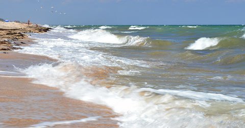 Стрілкове, фото