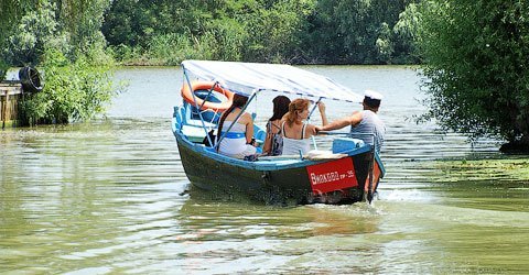 Вилкове, фото