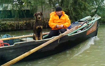 Вилкове фото